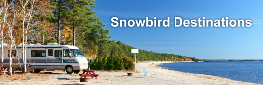 Snowbird-header